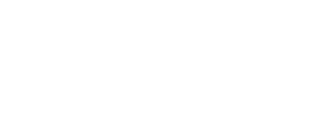 Werner Electric